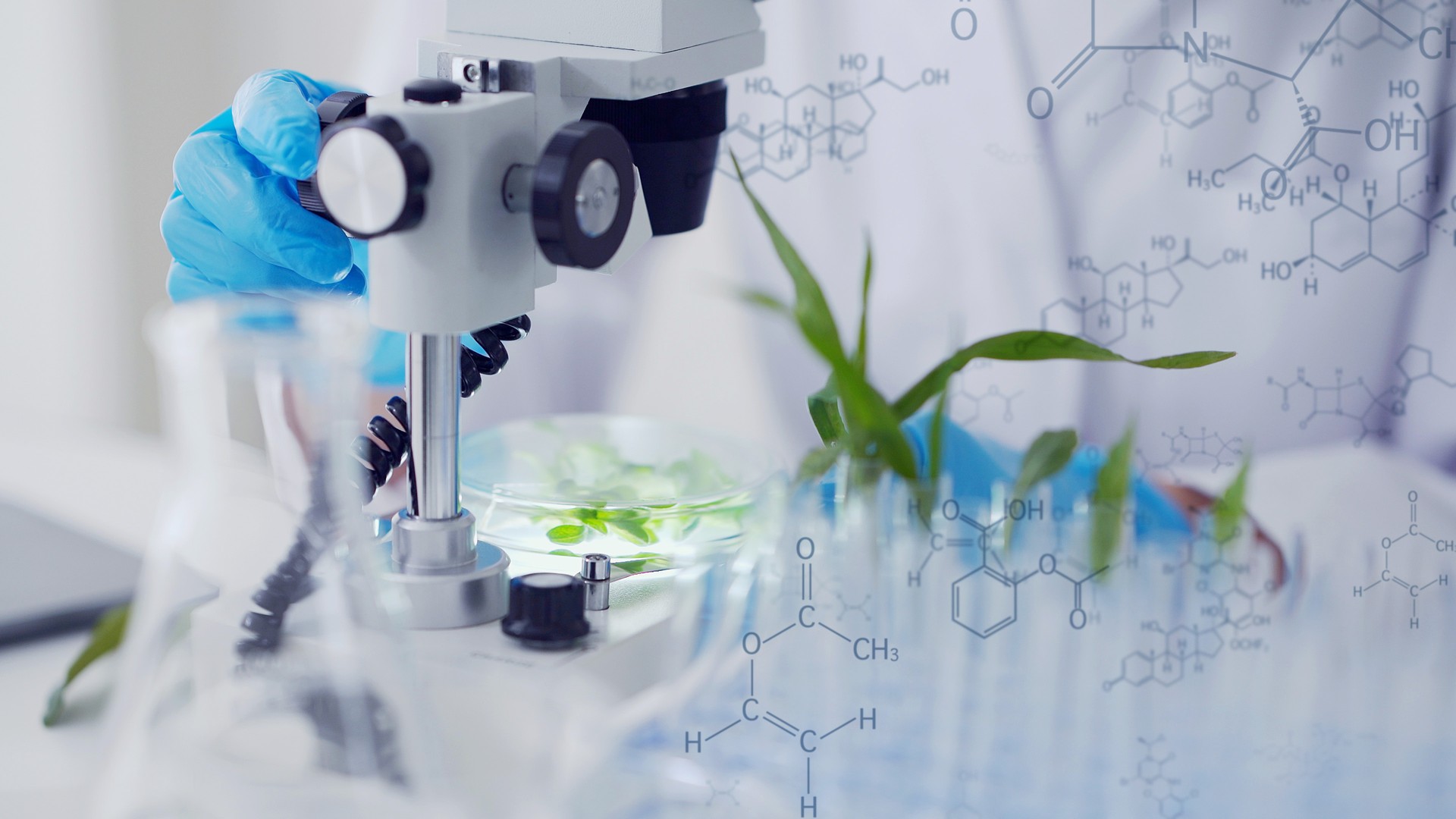 Biotechnology concept. Food tech. Nutritional science.